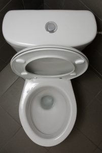 What To Do When Your Toilet is Leaking